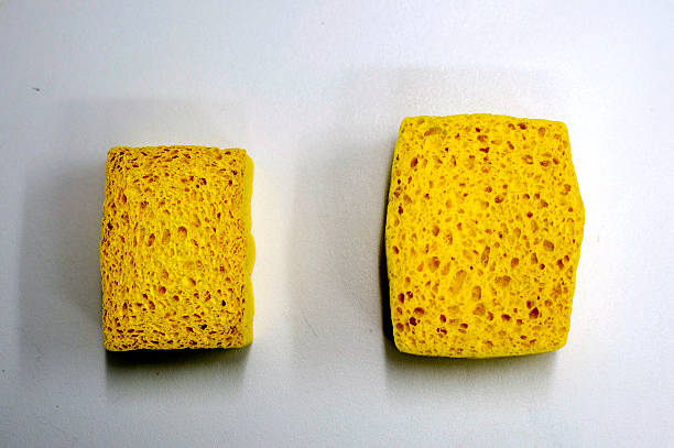 how to sterilize sponges in the microwave illustration