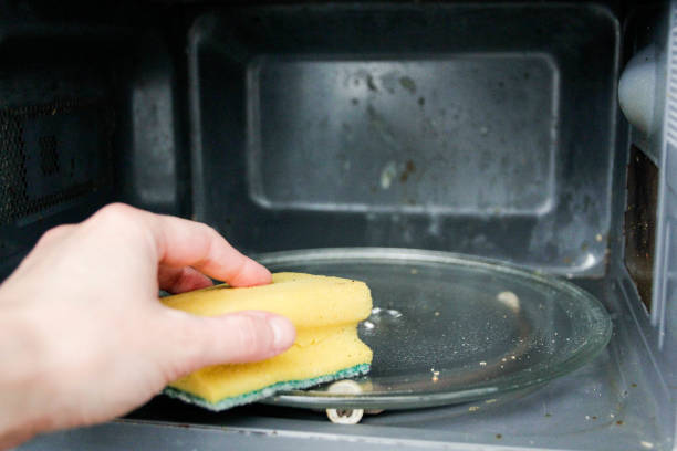 how to sterilize sponges in the microwave guide