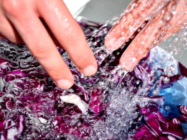 how to wash vitamix guide