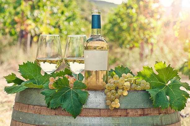 what is vermentino illustration