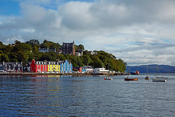 what is vintage port