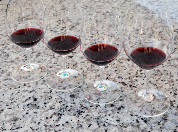 what pairs with merlot guide