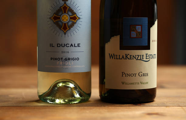 what pairs with pinot grigio illustration