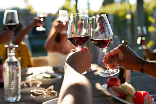 why drink wine guide