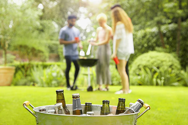 beer in wine cooler guide