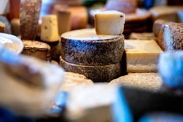 beginner wine and cheese pairings illustration