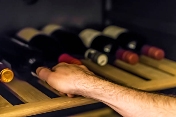 best temperature for wine fridge illustration