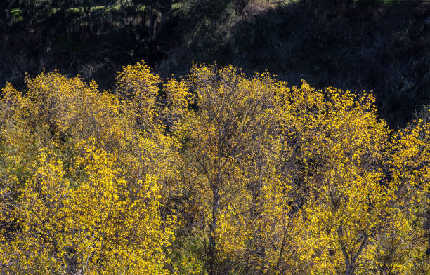 best wine temperature red illustration