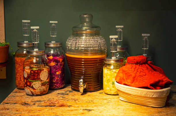 ginger beer brewing kit guide