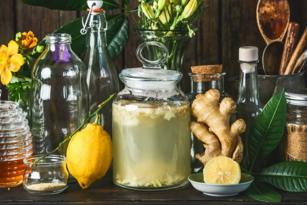 ginger beer making kit illustration