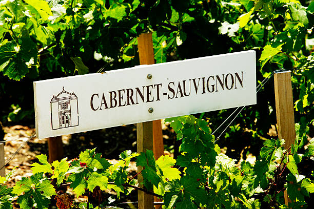 how long does cabernet sauvignon last unopened guide