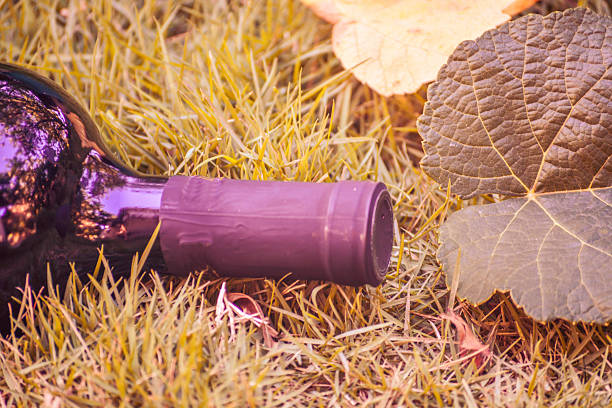 how long does wine last with vacuum stopper