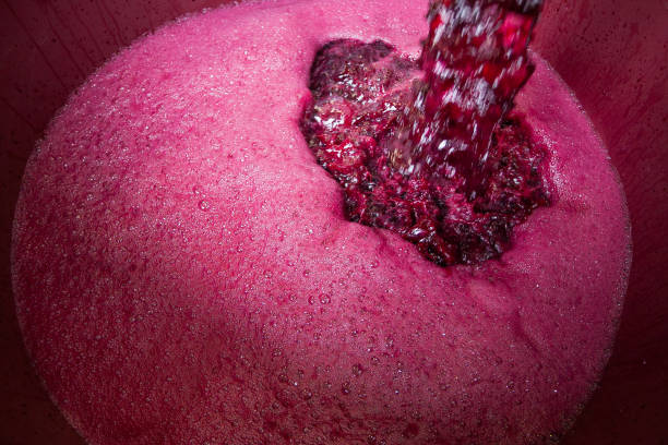 how to make red wine at home illustration