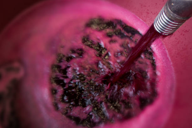 how to make red wine at home guide