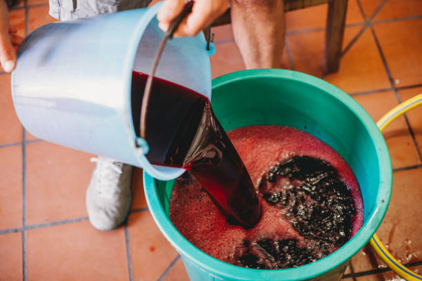 how to make red wine at home