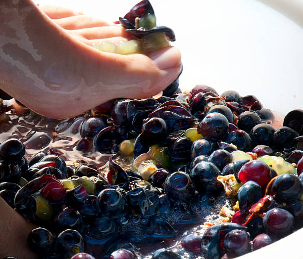 how to make wine from grapes at home