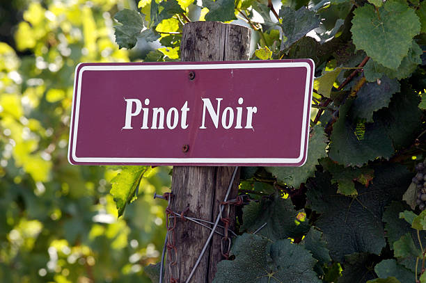 proper temperature for pinot noir
