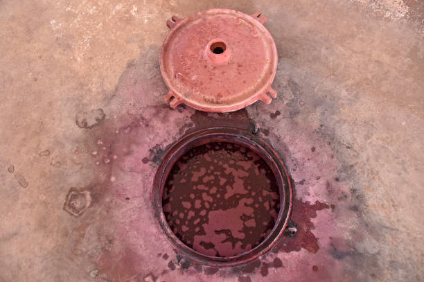 red wine storage temperatures illustration