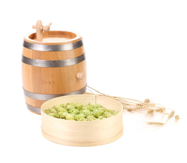 sour beer making kit