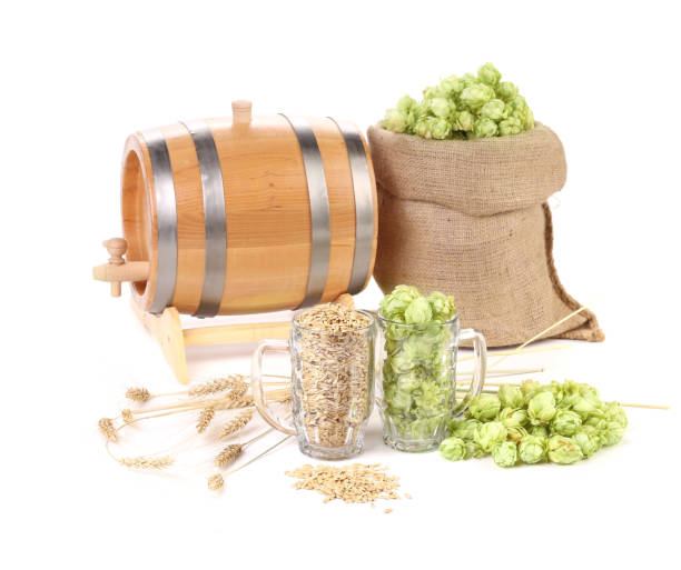 stout beer making kit guide