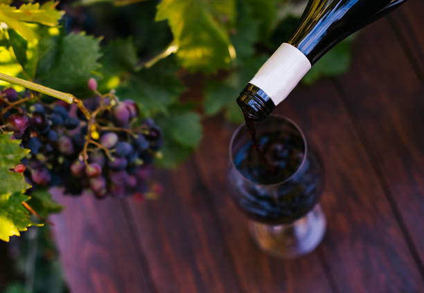 supplies for making wine guide