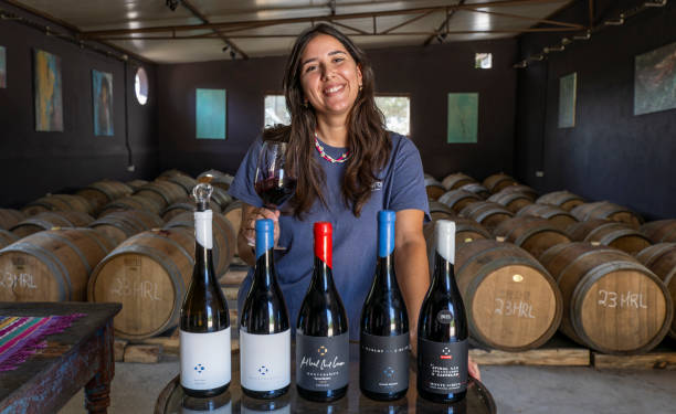 what are some dry red wines illustration