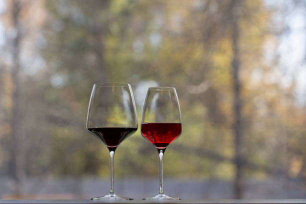 what does cabernet sauvignon pair with guide