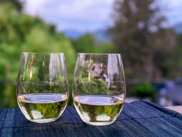 what does sauvignon blanc pair with illustration