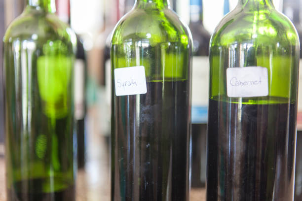 what does syrah pair with