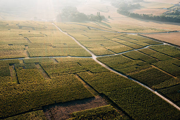 what food goes with chardonnay