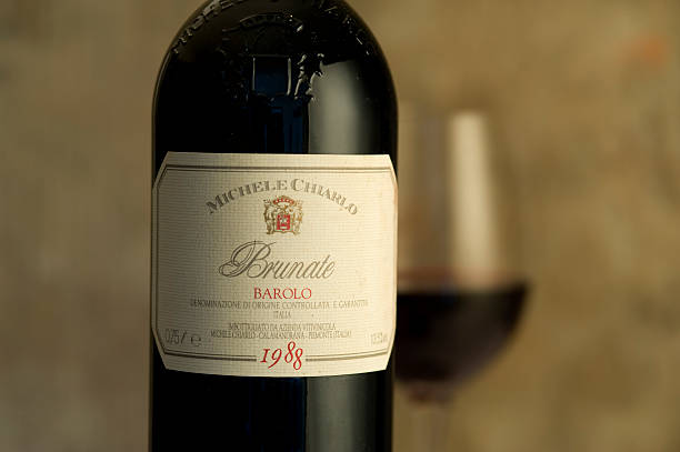 what is barbera wine similar to guide