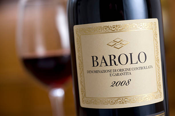 what is barbera wine similar to