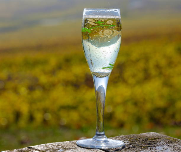 what is blanc de noirs champagne