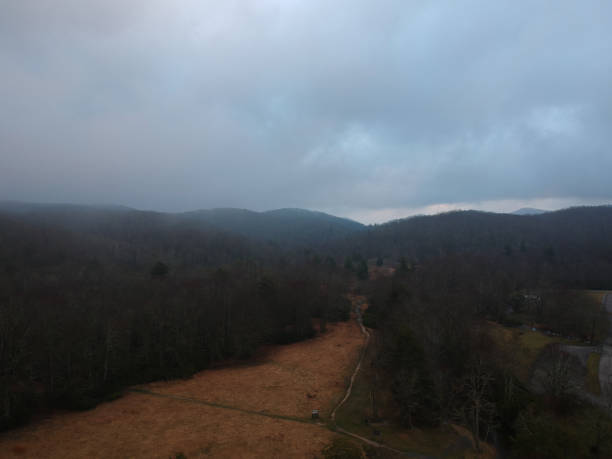 what is boone's farm guide