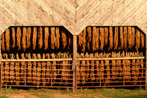 what is boone's farm