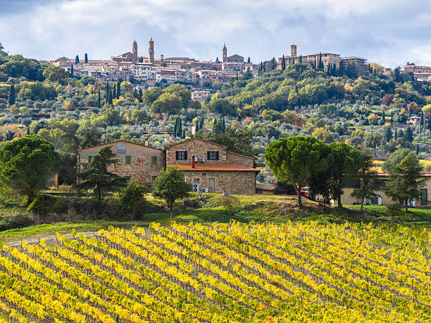 what is brunello di montalcino