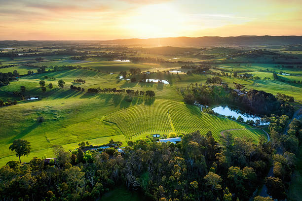 what is reserve wine guide