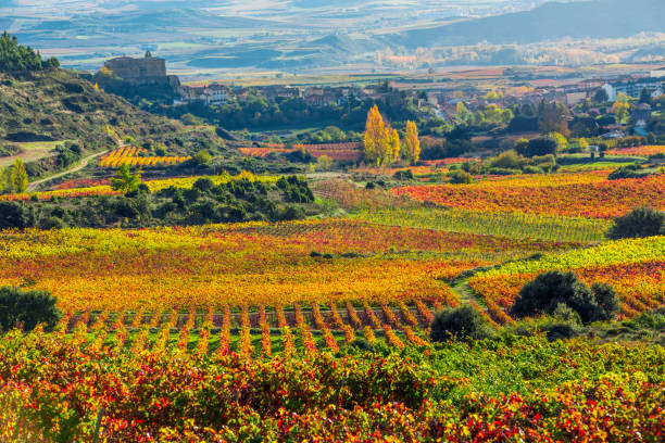 what is rioja guide