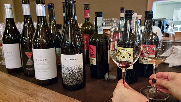 what wine goes with italian food illustration