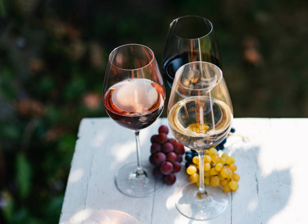 what wine goes with italian food guide