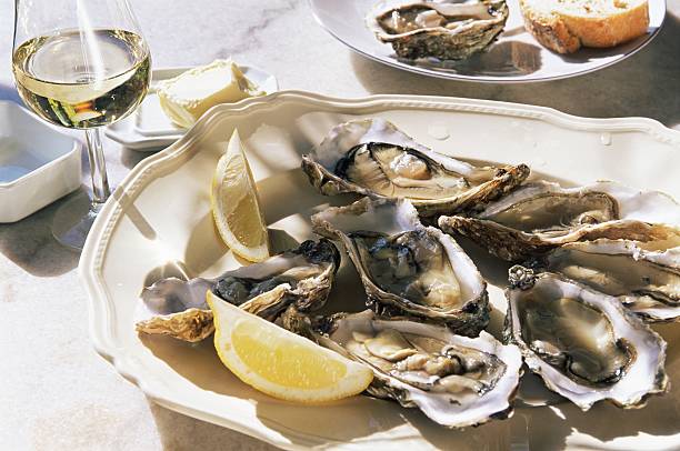 what wine goes with oysters guide