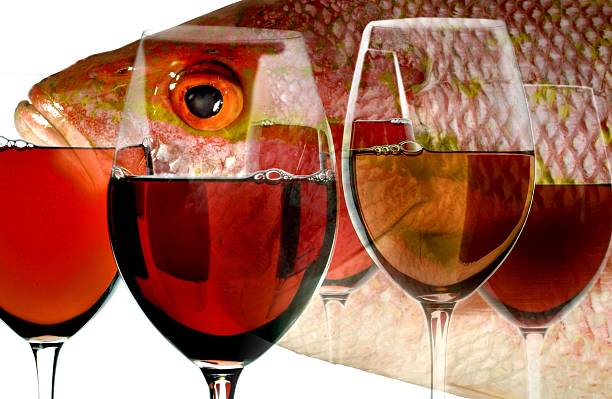 what wine with fish illustration