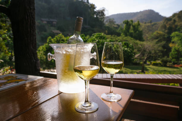 white wine cooler temp guide