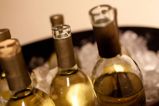 white wine cooler temp