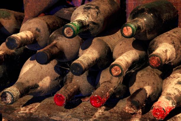 wine cellar 100 bottles