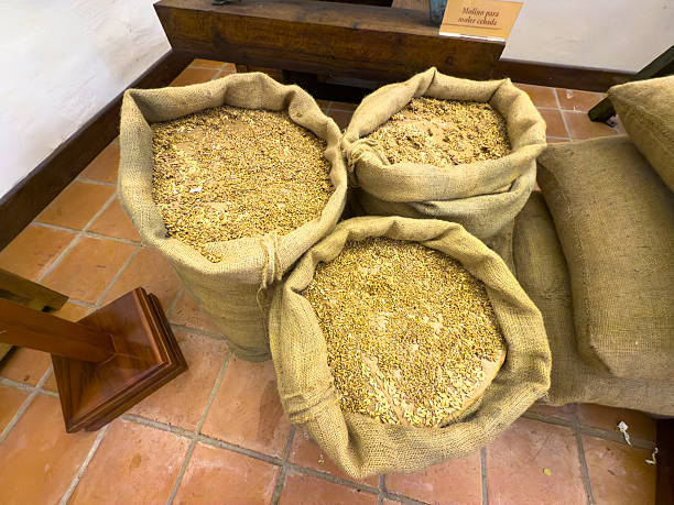 all grain brew in a bag illustration