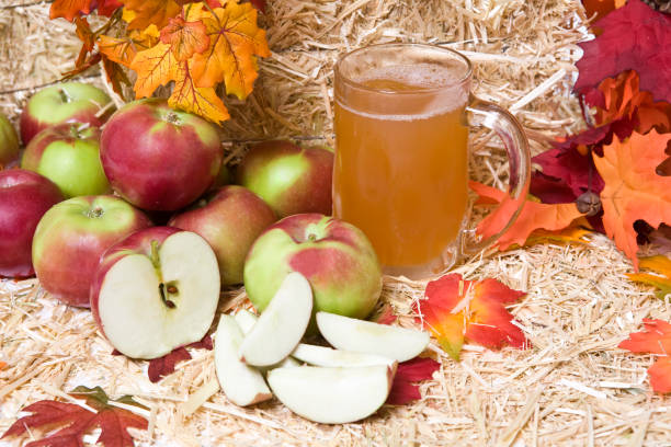 apple cider brewing kit illustration
