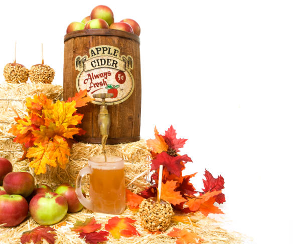 apple cider brewing kit
