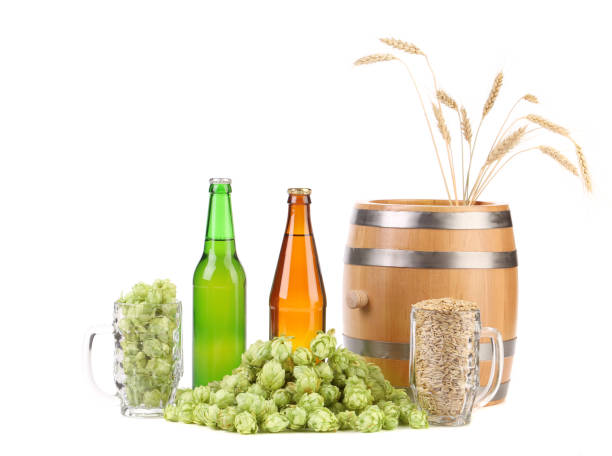 beer and wine making kits guide