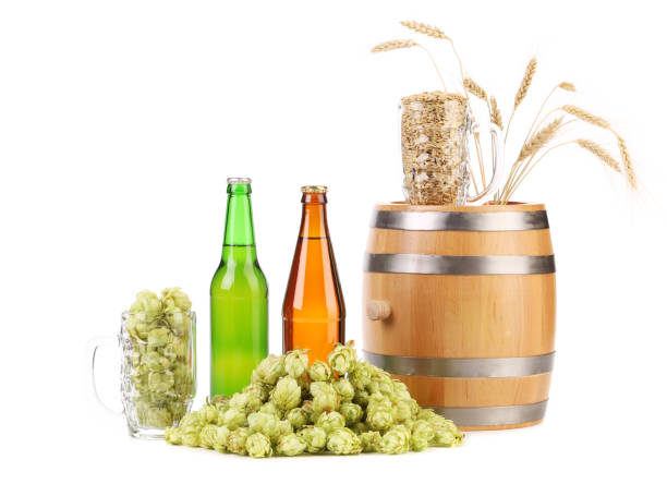 beer and wine making kits
